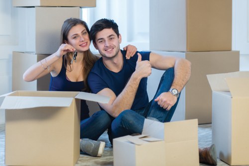 Illustration representing accessible Removals Sutton website use